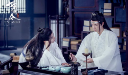 陈情令电视剧剧情介绍,探寻仙侠世界，揭秘少年侠客的成长传奇