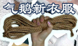 绳艺漫画,探索束缚与自由的视觉艺术之旅
