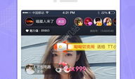 91版官方征服游戏直播,重温经典，畅享激情岁月