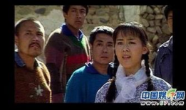 徐大地是什么电视剧,揭秘农村变迁的温暖画卷