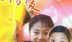 错爱 电视剧,错综复杂的情感纠葛，揭开人性善恶之谜