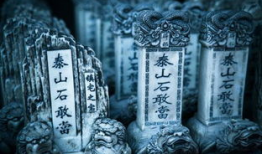 泰山石敢当电视剧全集免费播放,传奇守护者全集免费播放